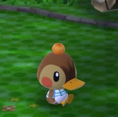 Duck AC